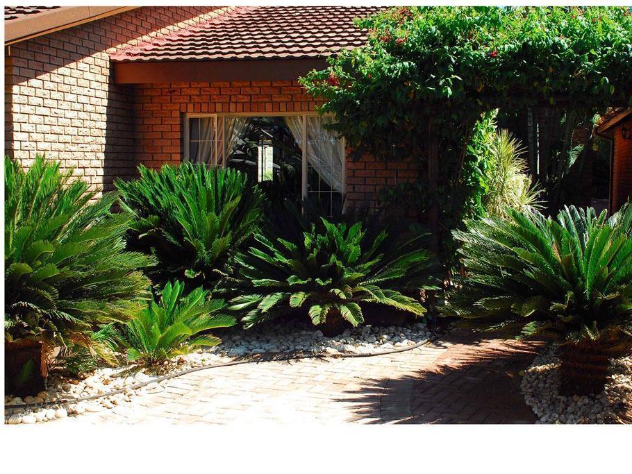 Cycas Guest House Malalane Exterior photo